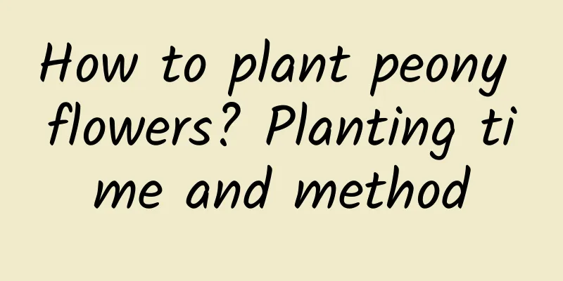 How to plant peony flowers? Planting time and method