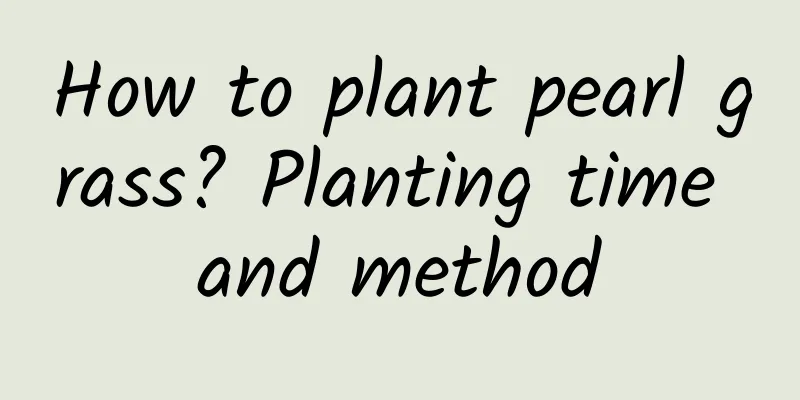How to plant pearl grass? Planting time and method