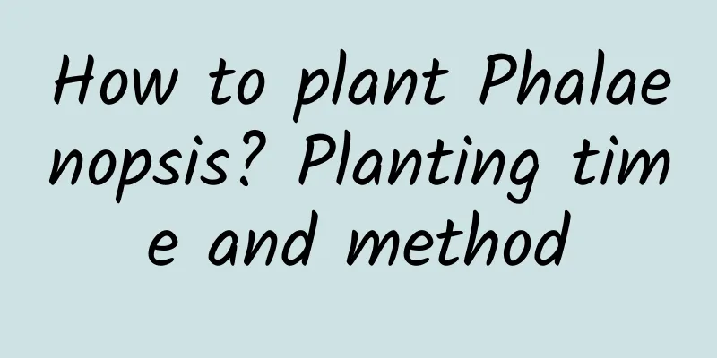 How to plant Phalaenopsis? Planting time and method