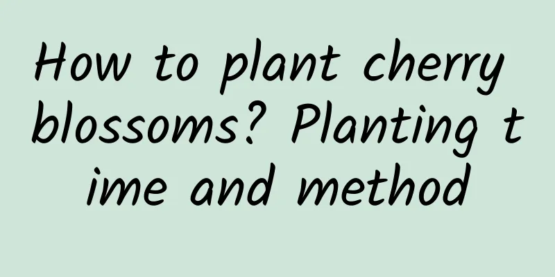 How to plant cherry blossoms? Planting time and method
