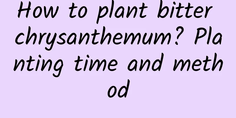 How to plant bitter chrysanthemum? Planting time and method