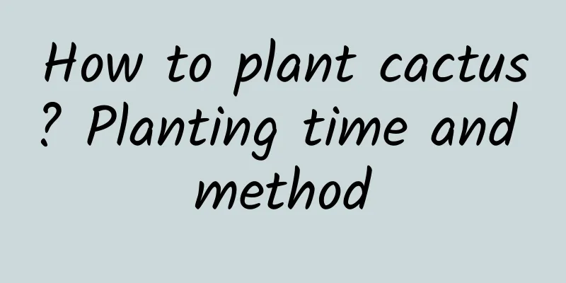 How to plant cactus? Planting time and method