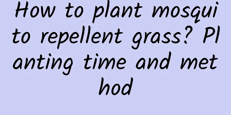 How to plant mosquito repellent grass? Planting time and method