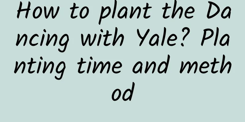 How to plant the Dancing with Yale? Planting time and method