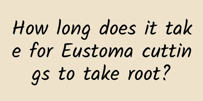How long does it take for Eustoma cuttings to take root?
