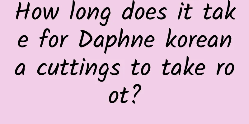 How long does it take for Daphne koreana cuttings to take root?