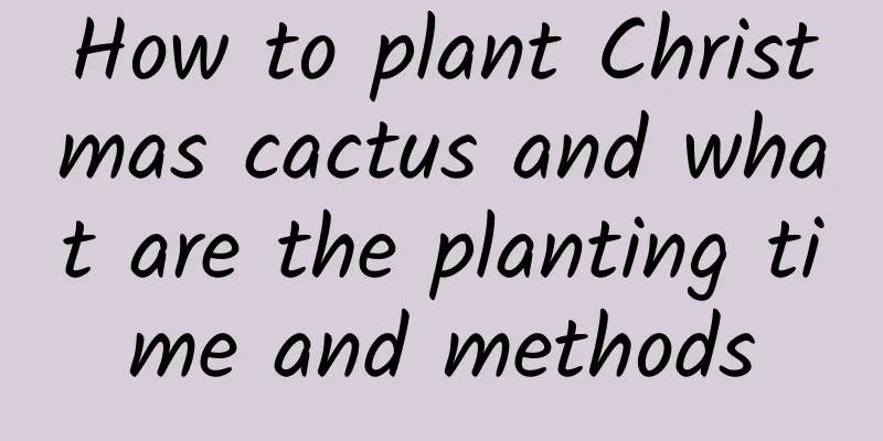 How to plant Christmas cactus and what are the planting time and methods