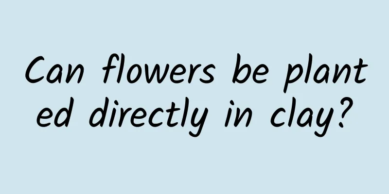 Can flowers be planted directly in clay?
