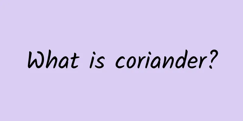 What is coriander?