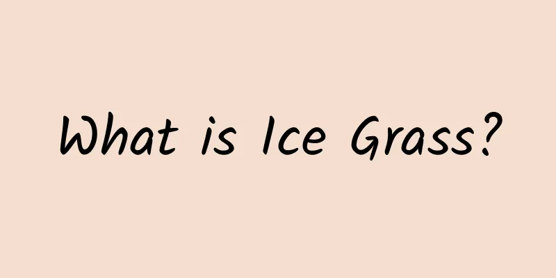 What is Ice Grass?