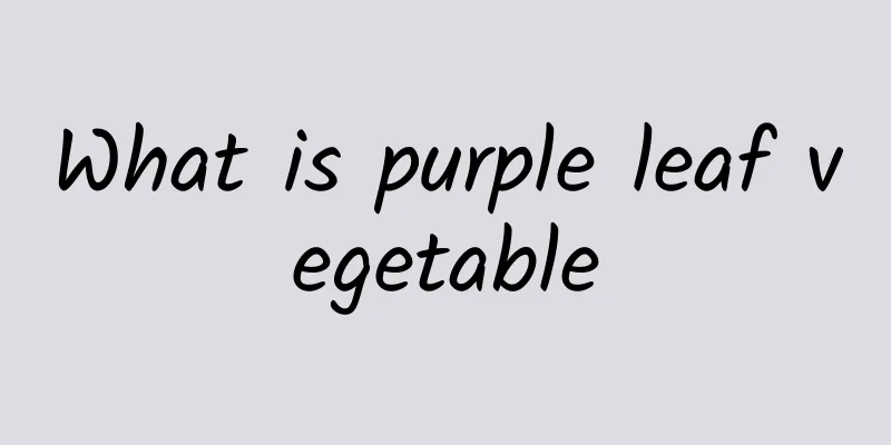 What is purple leaf vegetable