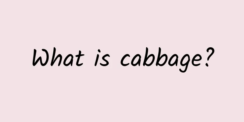 What is cabbage?