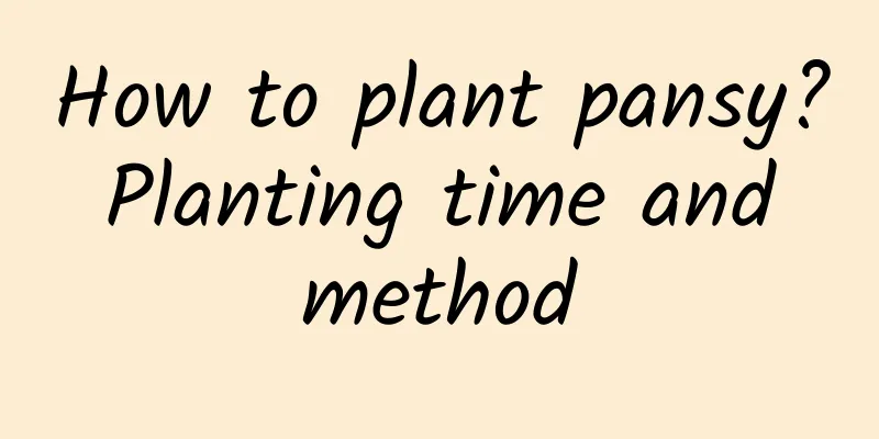 How to plant pansy? Planting time and method