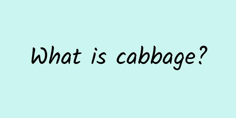 What is cabbage?