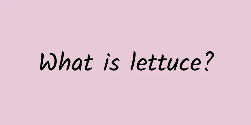 What is lettuce?