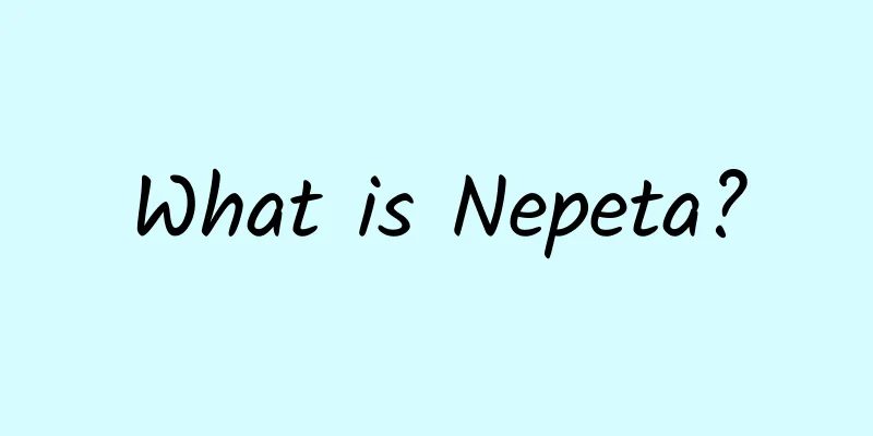 What is Nepeta?