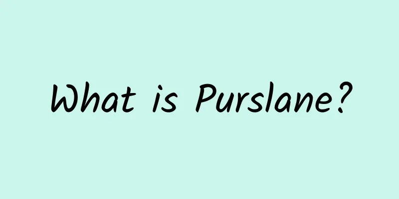 What is Purslane?