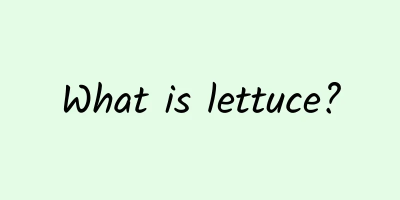 What is lettuce?