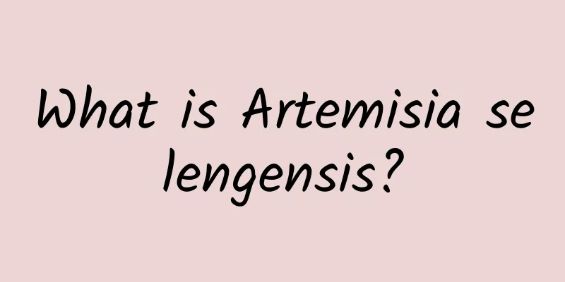 What is Artemisia selengensis?