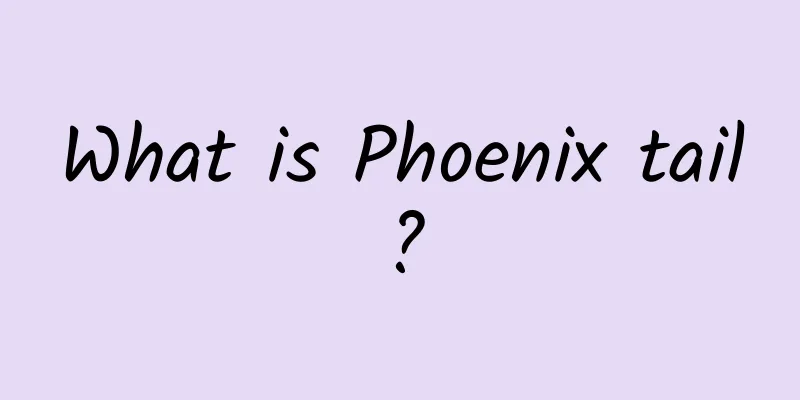 What is Phoenix tail?