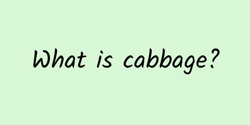 What is cabbage?