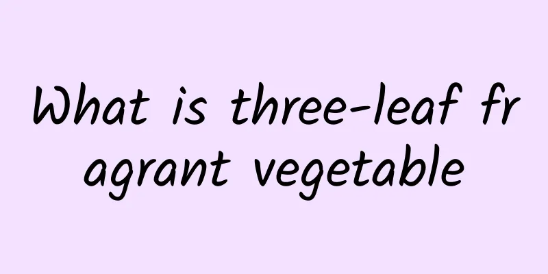 What is three-leaf fragrant vegetable