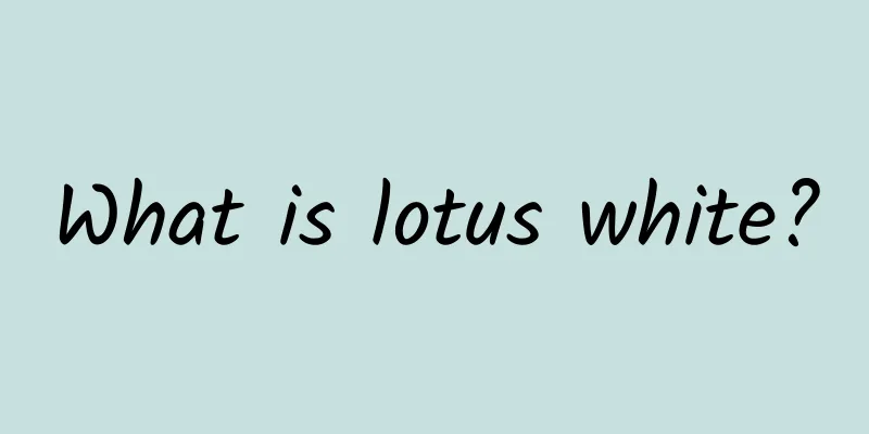 What is lotus white?