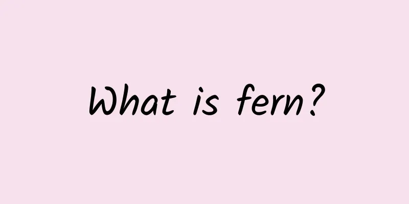 What is fern?