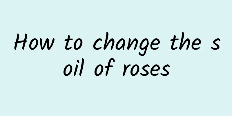 How to change the soil of roses