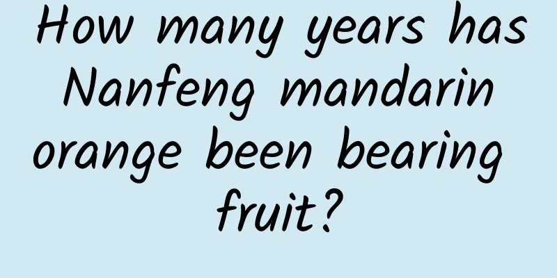 How many years has Nanfeng mandarin orange been bearing fruit?