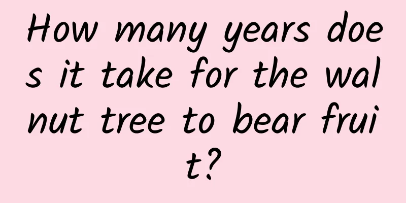 How many years does it take for the walnut tree to bear fruit?
