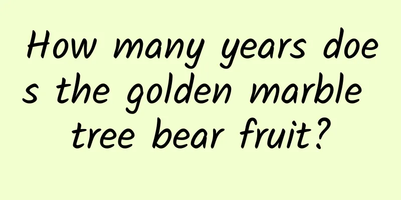 How many years does the golden marble tree bear fruit?