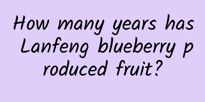 How many years has Lanfeng blueberry produced fruit?