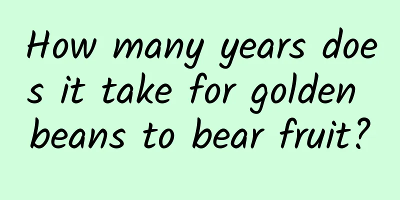 How many years does it take for golden beans to bear fruit?