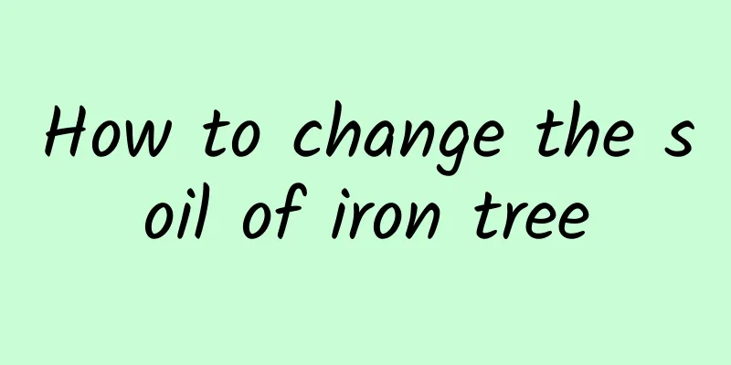 How to change the soil of iron tree
