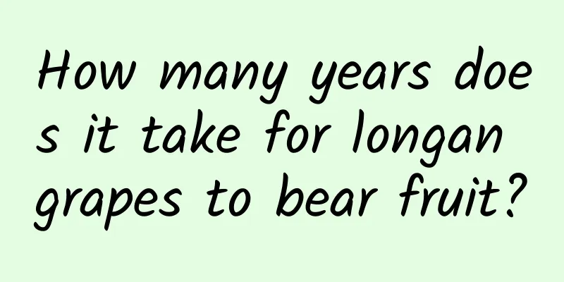 How many years does it take for longan grapes to bear fruit?
