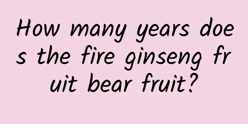 How many years does the fire ginseng fruit bear fruit?