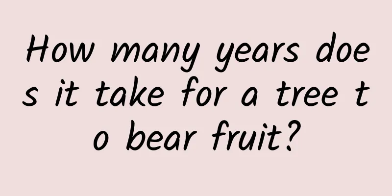 How many years does it take for a tree to bear fruit?