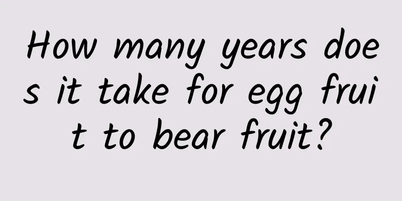 How many years does it take for egg fruit to bear fruit?