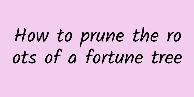 How to prune the roots of a fortune tree
