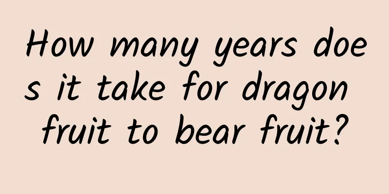 How many years does it take for dragon fruit to bear fruit?