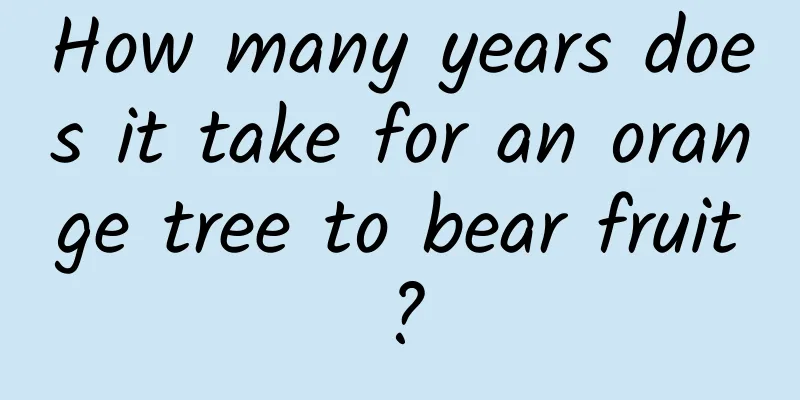 How many years does it take for an orange tree to bear fruit?