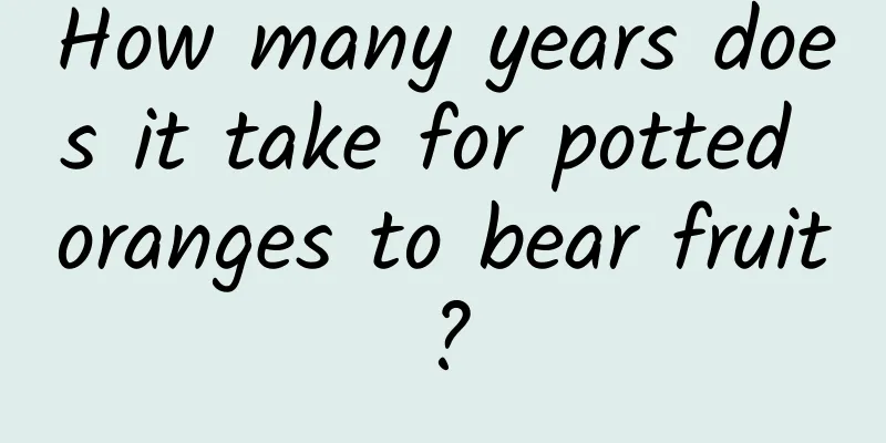 How many years does it take for potted oranges to bear fruit?
