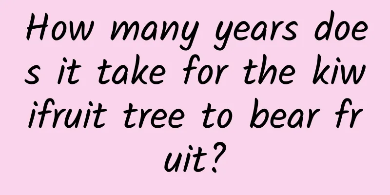 How many years does it take for the kiwifruit tree to bear fruit?
