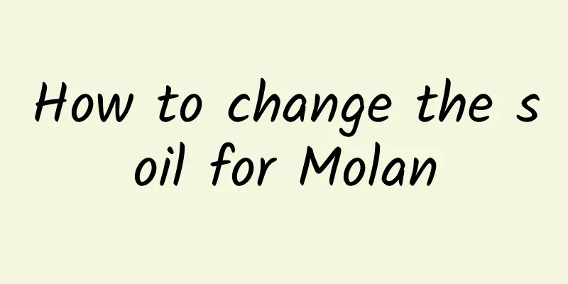 How to change the soil for Molan