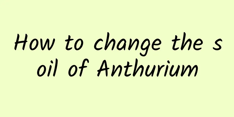 How to change the soil of Anthurium