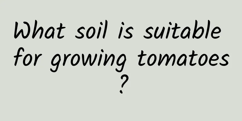 What soil is suitable for growing tomatoes?