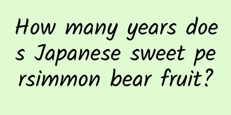 How many years does Japanese sweet persimmon bear fruit?