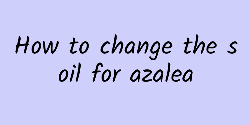 How to change the soil for azalea