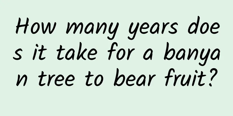 How many years does it take for a banyan tree to bear fruit?